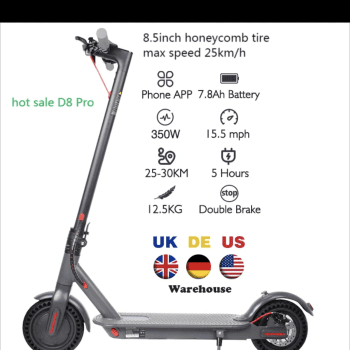 Electric Scooter 350 Watts
