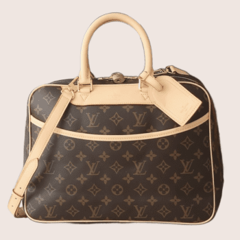 Louis Vuitton (V) Inspired bag